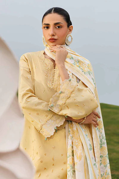 3 Piece - Printed Embroidered Suit by Nishat